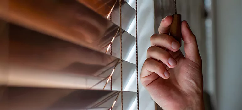 Double Roller Blinds in Fort Walton Beach, FL