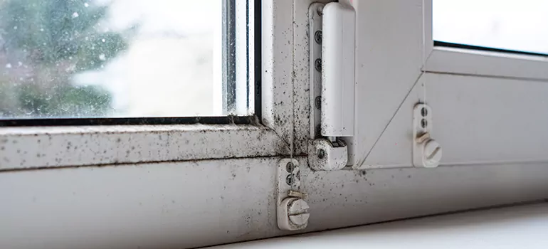 Fort Walton Beach, FL