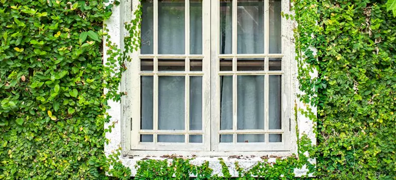 Garden Window Repair Near Me in Fort Walton Beach, FL