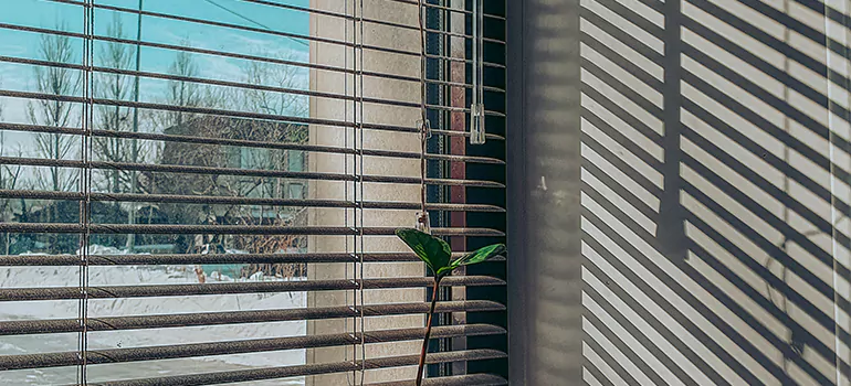 Commercial Window Blinds in Fort Walton Beach, FL