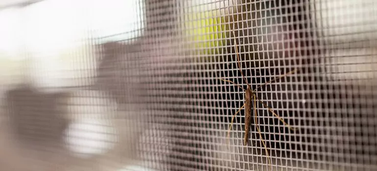 Repair Mosquito Mesh For Windows in Fort Walton Beach, FL
