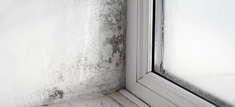 Fort Walton Beach, FL