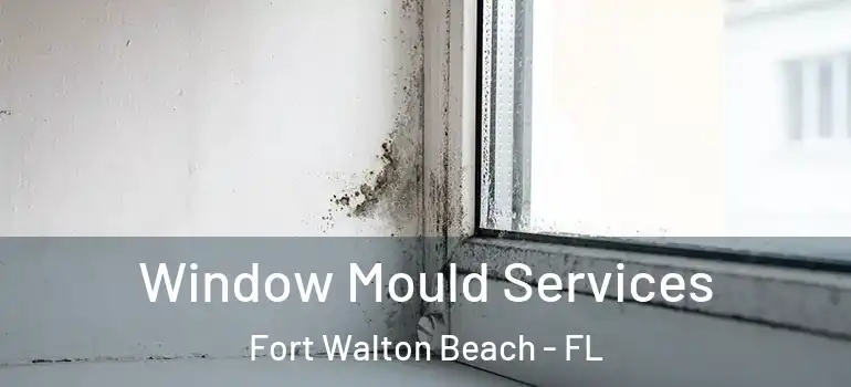 Window Mould Services Fort Walton Beach - FL
